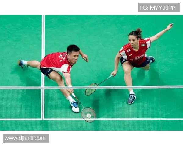 杭州羽毛球队在比赛中的防守与反击策略分析及其成效评估