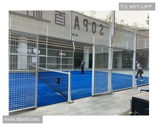 深度分析深圳网球队盯防战术的优势与应用策略